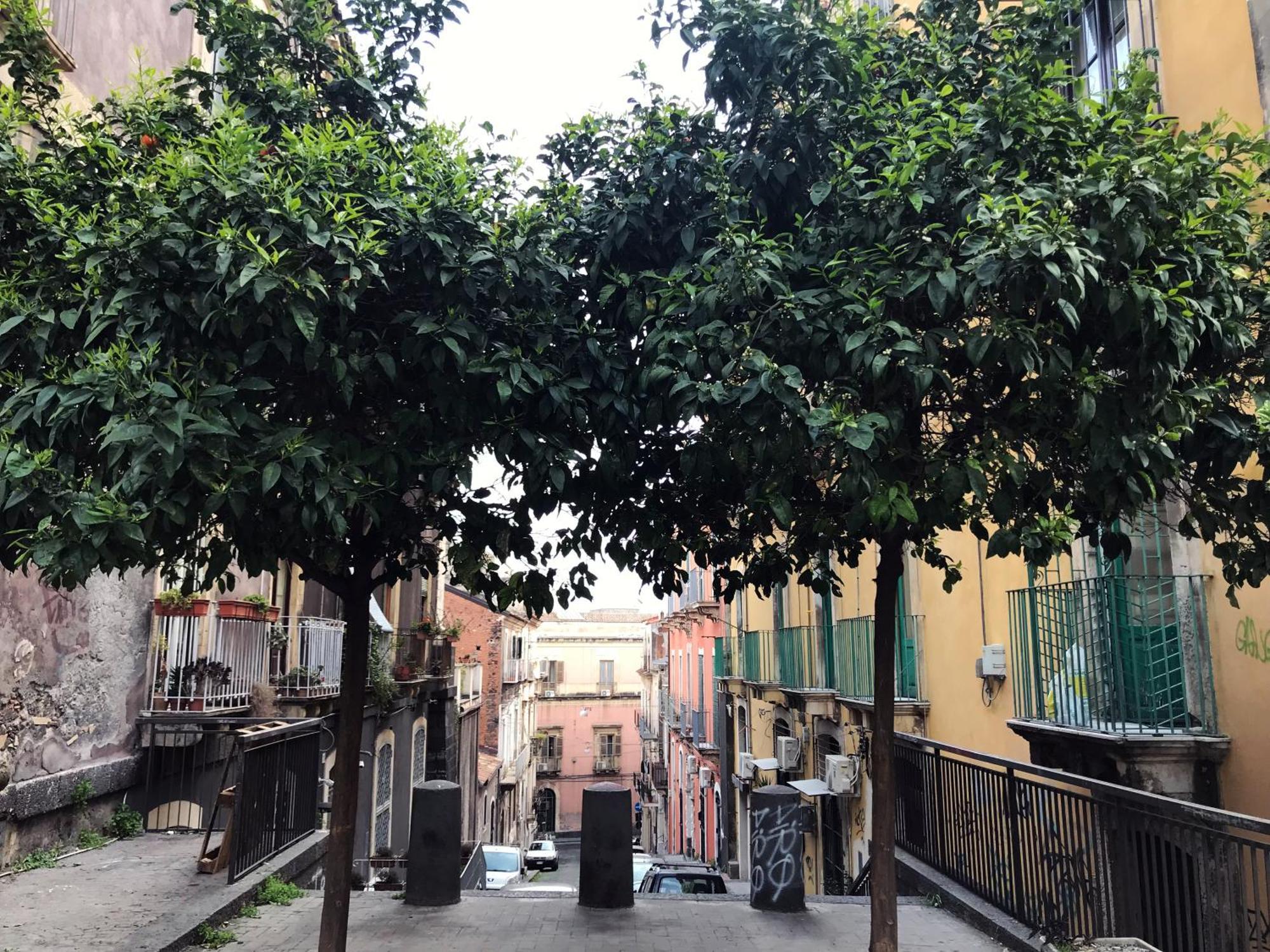 Guest house Dimora San Camillo